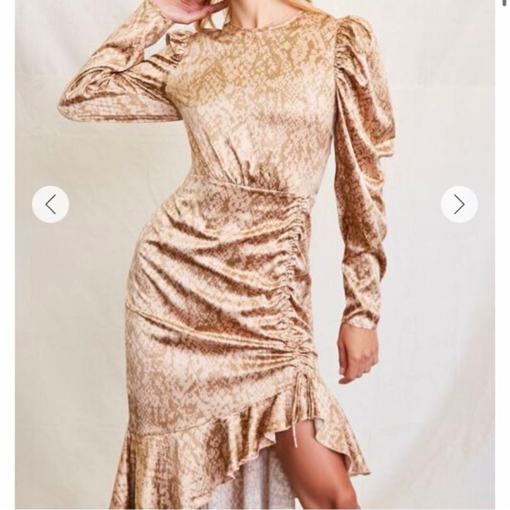 Forever 21- Satin Snake Print Dress
